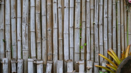 Bamboo trunks are used to make the walls of the room.
