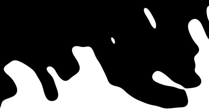 Liquid transition. 4k animation of spills of white liquid moving diagonally from right low corner to left high corner then black fluid moving in another direction during the transition process