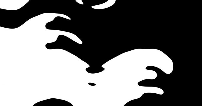 4k animated transition. Transformation of black to white and white to black. Transition effect.