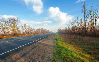 Fototapeta premium Autumn landscape with an asphalt road leading to the horizon.