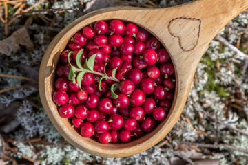 Wild berries in a wooden bowl. Northern berry: lingonberry, blueberry, cranberry.