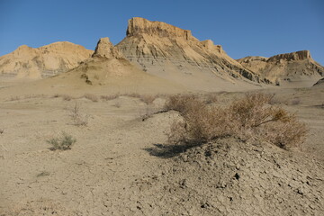 Fototapeta na wymiar A deserted sandy area near the Aral Sea