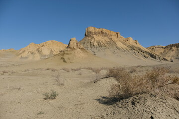Fototapeta na wymiar A deserted sandy area near the Aral Sea