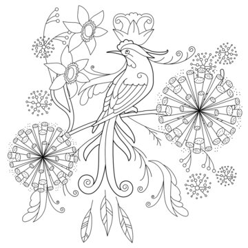 Contour linear illustration for coloring book with paradise bird. Beautiful tropical exotic bird,  anti stress picture. Line art design for adult or kids  in zen-tangle style and coloring page.