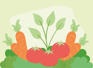 fresh vegetables and leafs