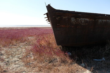 Abandoned boats on the territory of the drying up Aral Sea