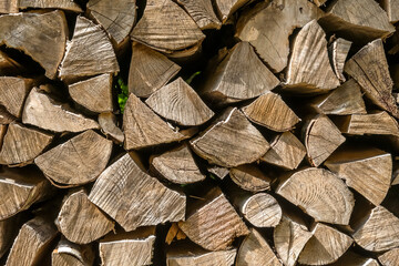 Fototapeta premium Brennholzstapel