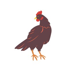 Hen in flat style. Rural poultry. Vector illustration isolated on a white background
