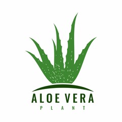 aloe vera plant logo design vector