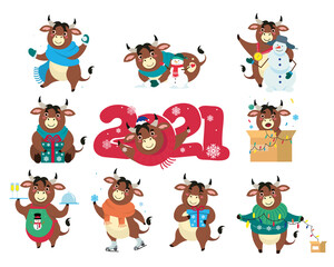 Obraz na płótnie Canvas Funny cow cartoon character vector illustrations set. Collection of drawings of smiling farm animal in warm clothes, symbol of 2021 isolated on white background. New Year, celebration concept