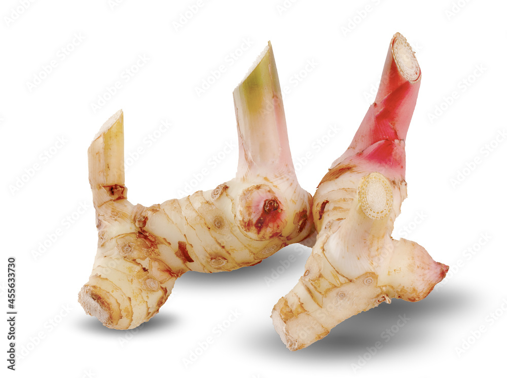 Wall mural Fresh slices galangal rhizomes isolated on white background