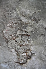 Old dirty wall close up. Grunge abstract photo background.  Beautiful stone texture pattern. Good for post-processing and design
