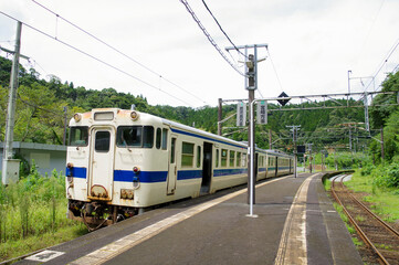 Fototapeta na wymiar 山間の小さな駅に停車する普通列車