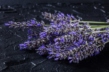 Lavender bouquet on a dark background. Aromatic medicinal herb. Lavandula in bloom