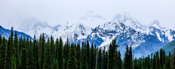 White glaciers and green forest in the Tianshan Mountains range,Xinjiang,China.