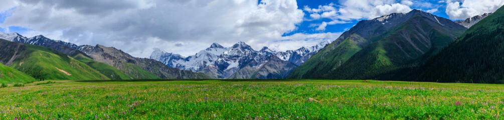 Fototapeta na wymiar Green grassland and white glaciers natural scenery in Xinjiang,China.