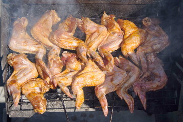 Fried,Roast chicken wings