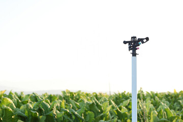 In-field sprinkler for automatic irrigation in a crop field
