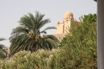 mosque in egypt among palm trees