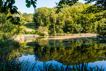 Arlesheim, Ermitage, Weiher, Seerose, See, Holzsteg, Wasserpflanzen, Baselland, Waldweg, Wanderweg,...