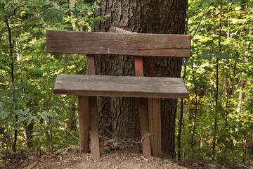 WOODEN BENCH in the woods , Corlateni, Pojorata, Suceava , Romania