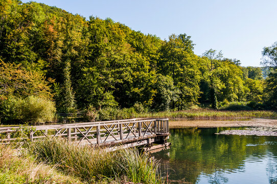 Arlesheim, Ermitage, Weiher, Seerose, See, Holzsteg, Baselland, Waldweg, Wanderweg, Spazierweg, Ausflugsort, Kraftort, Karpfen, Karpfenweiher, Sommer, Schweiz