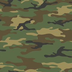 Spot camouflage. Military texture. Print on fabric and clothing for hunting and fishing. Vector