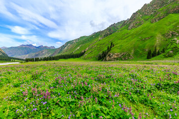 Fototapeta na wymiar Majestic mountains and beautiful flowers with green grassland in Xiata Scenic Area,Xinjiang,China.