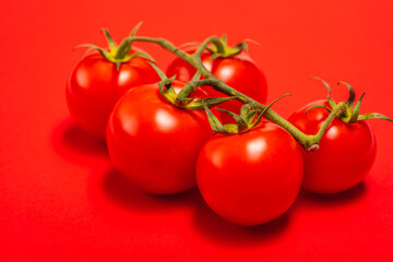 red tomatoes with a green stalk, on a red background, concept,