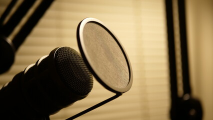 microphone 2