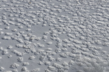 Snowy surface with a lot of duck tracks from their paws in sunny day