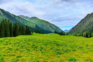 Beautiful grassland and green mountain natural scenery in Xinjiang,China.