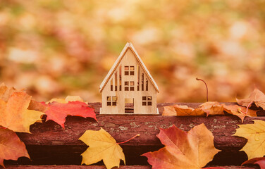The symbol of the house stands among the fallen autumn leaves
