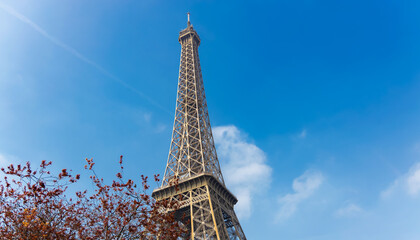Eiffel Tower with autumn leaves and blue sky background  in Paris, France