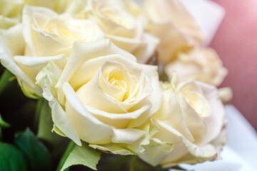 Festive bouquet of beige roses close-up