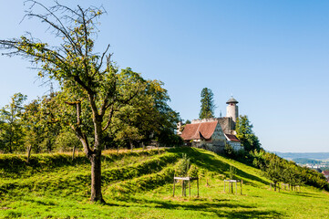 Arlesheim, Schloss Birseck, Ermitage, Dornach, Birseck, Landwirtschaft, Obstbäume, Wald,...