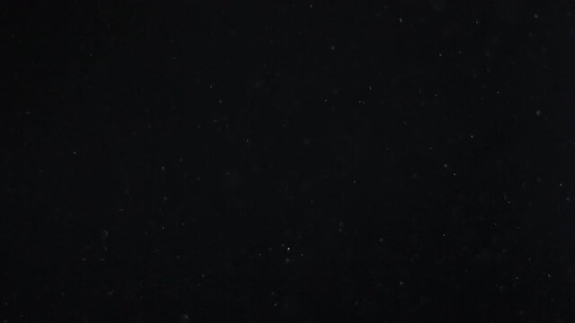 A suspension of white-silver particles in the air on a black background. Some of the particles are blurred in a beautiful bokeh. 4K background for your videos in various mixing modes.
