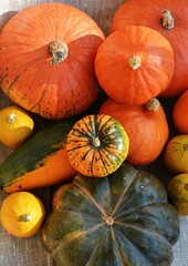 pumpkins and gourds