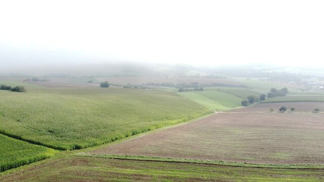 Drohnenvideo, Maisfeld im Nebel