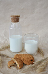 glass of milk and oatmeal cookies