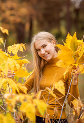Portrait of a girl in the autumn forest. Beautiful woman in yellow leaves