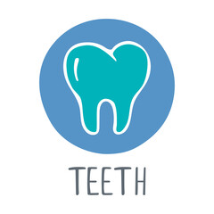 Human tooth icon. Two-color teeth symbol with handwritten title. Vector flat hand drawn illustration