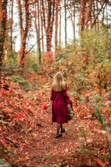 girl in a red dress in the autumn forest. A beautiful fairy-tale forest. Photo from the back