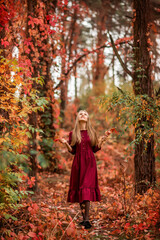 girl in a burgundy dress walks in the autumn forest. A fabulous forest with a wild vineyard.