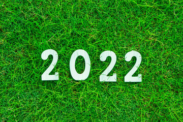 New year 2022 concept.word 2022 on the green lawns with the morning sun