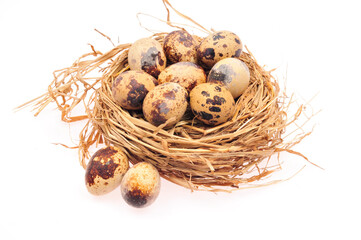 Quail eggs on a white background