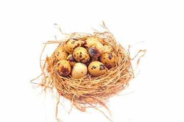 Quail eggs on a white background