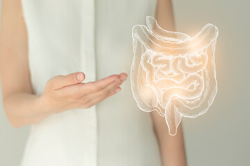 Woman in white clothes holding virtual intestine in hand. Handrawn human organ, detox and healthcare, healthcare hospital service concept stock photo - obrazy, fototapety, plakaty