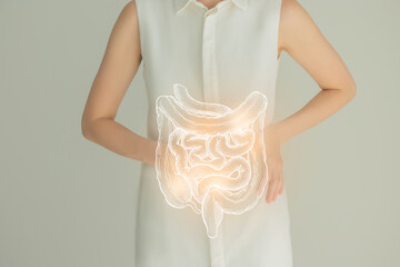 Woman in white clothes holding virtual intestine in hand. Handrawn human organ, detox and healthcare, healthcare hospital service concept stock photo