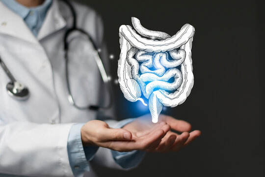 Gastroenterologist doctor, intestine specialist. Aesthetic handdrawn highlighted illustration of human intestine. Dark grey background, studio photo and collage.